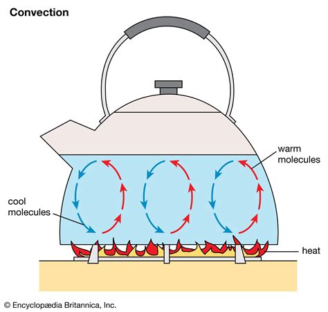 What Is Convection For Dummies